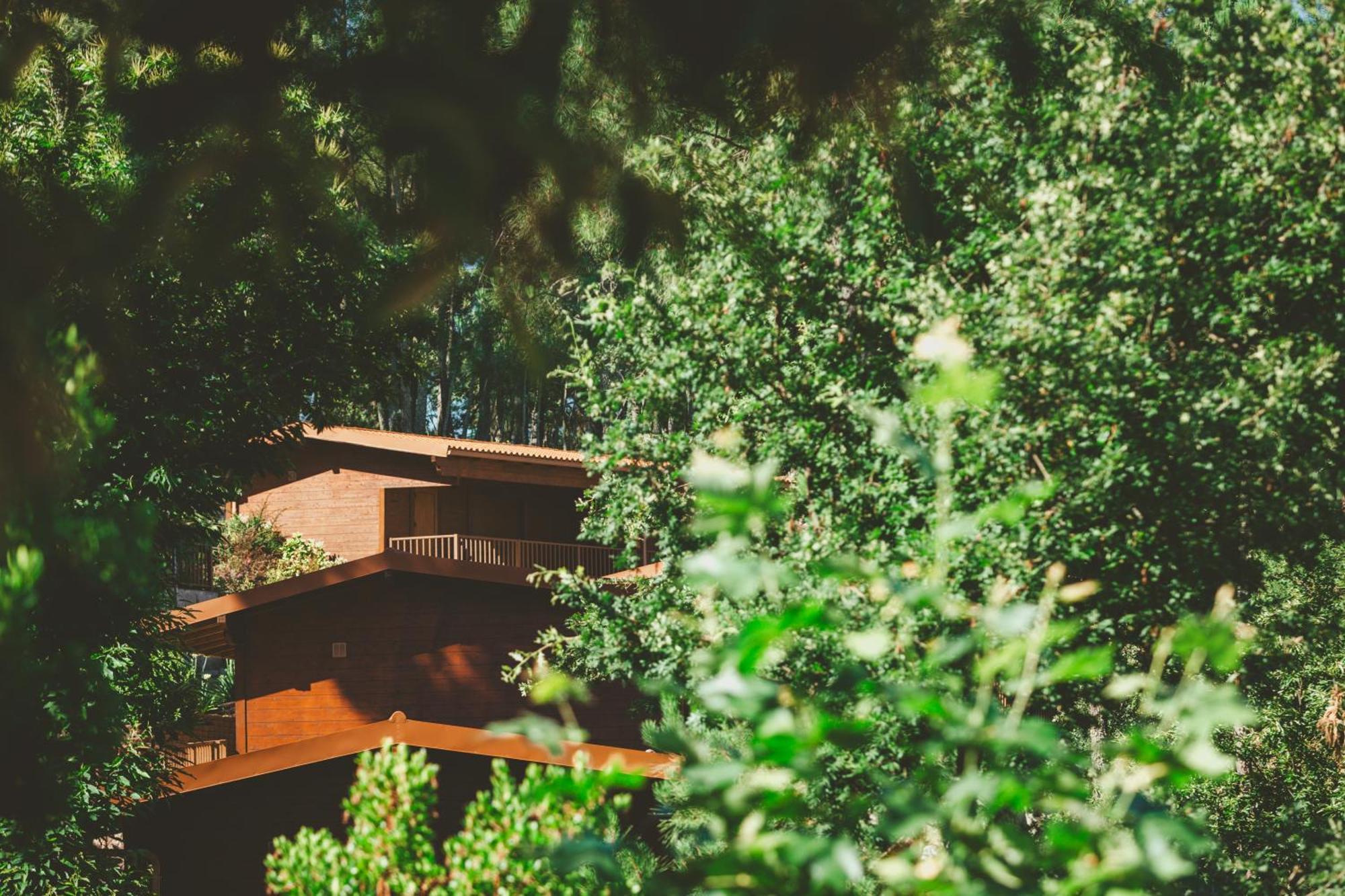 Quinta Do Lameiro Tarouca ภายนอก รูปภาพ